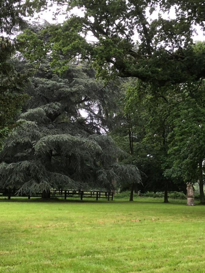 مبيت وإفطار Le Pin  Le Domaine D'Olene المظهر الخارجي الصورة