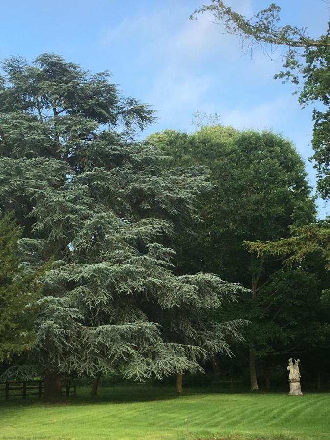 مبيت وإفطار Le Pin  Le Domaine D'Olene المظهر الخارجي الصورة